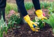 Gartenarbeit im April