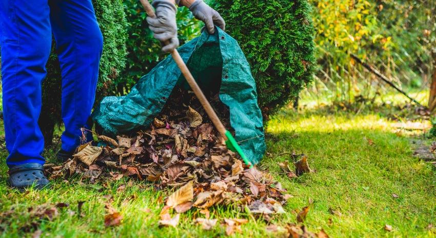 Garten-von-Laub-befreien - Gartenarbeit im Dezember