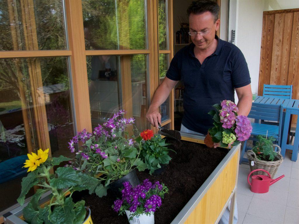 Mann bepflanzt Hochbeet-mit-Blumen