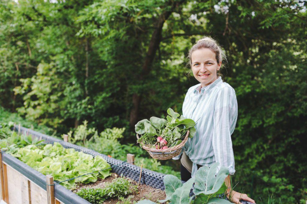 Junge-Frau-erntet-aus-Hochbeet.