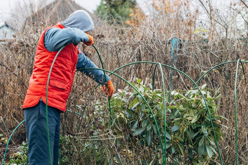 Pflanzen-Wintervorbereitung - Gartenarbeit im Dezember