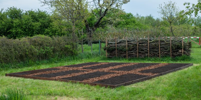 No-Dig-Gartenbeet