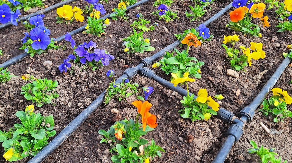 Blumenbeet-Bewaesserung - Vorgarten gestalten