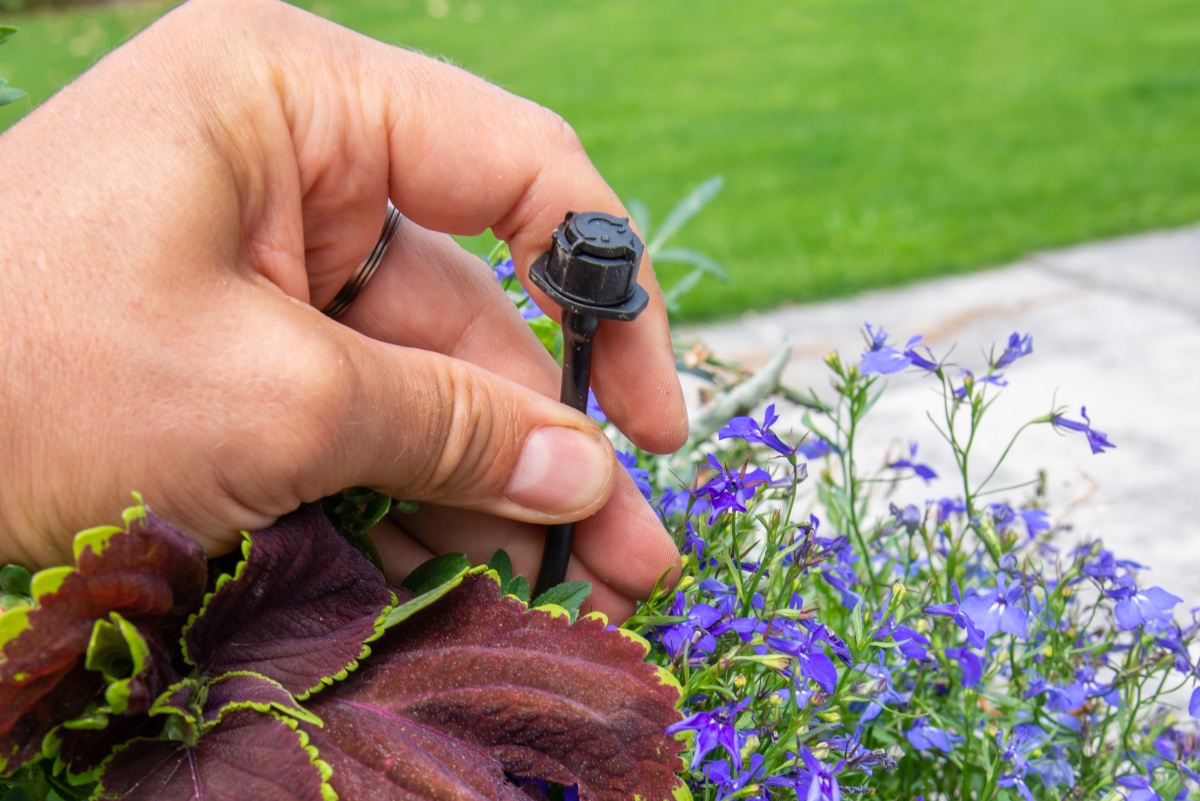 Blumenbeet-EInzel-Tropfer - Wasser sparen durch Tröpchenbewässerung