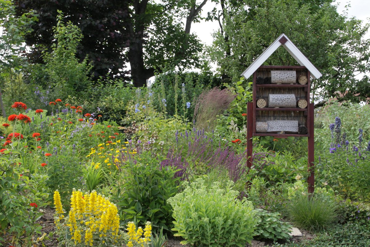 Garten mit Insektenhotel - Ideen für die Gestaltung Ihres Vorgartens