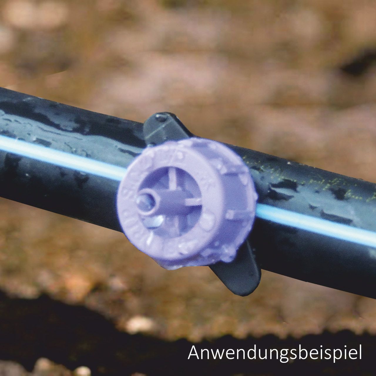 tropfer-anwendung - Wasser sparen durch Tröpchenbewässerung