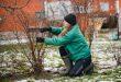 Frau-die-ihren-Garten-Winterfest-macht