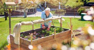 Mann-in-seinem-Garten-mit-Hochbeet