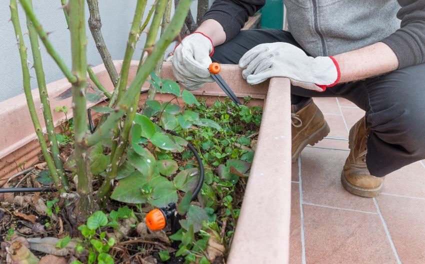 Tropfsystem für Bewässerung