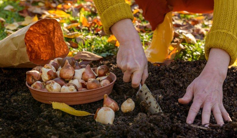 Herbst-Garten-umgraben-und-pflanzen