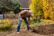 Mann-in-seinem-Garten-am-umgraben