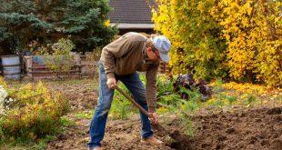 Mann-in-seinem-Garten-am-umgraben