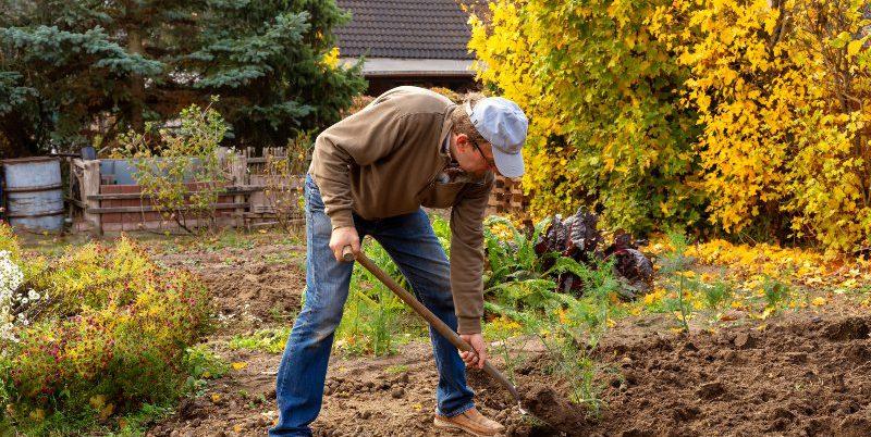 Mann-in-seinem-Garten-am-umgraben